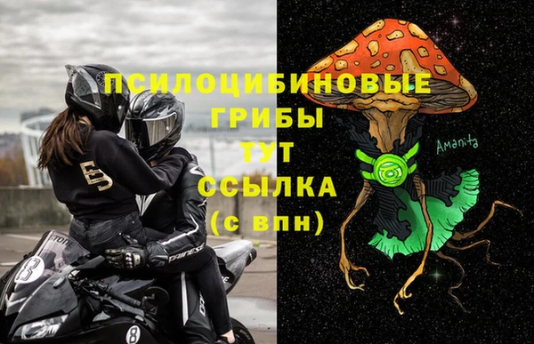 ПСИЛОЦИБИНОВЫЕ ГРИБЫ Богородицк